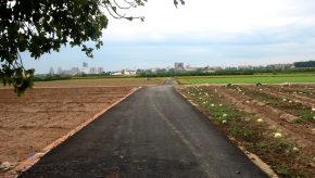 Infraestructuras: Caminos y vía rurales de uso agrario